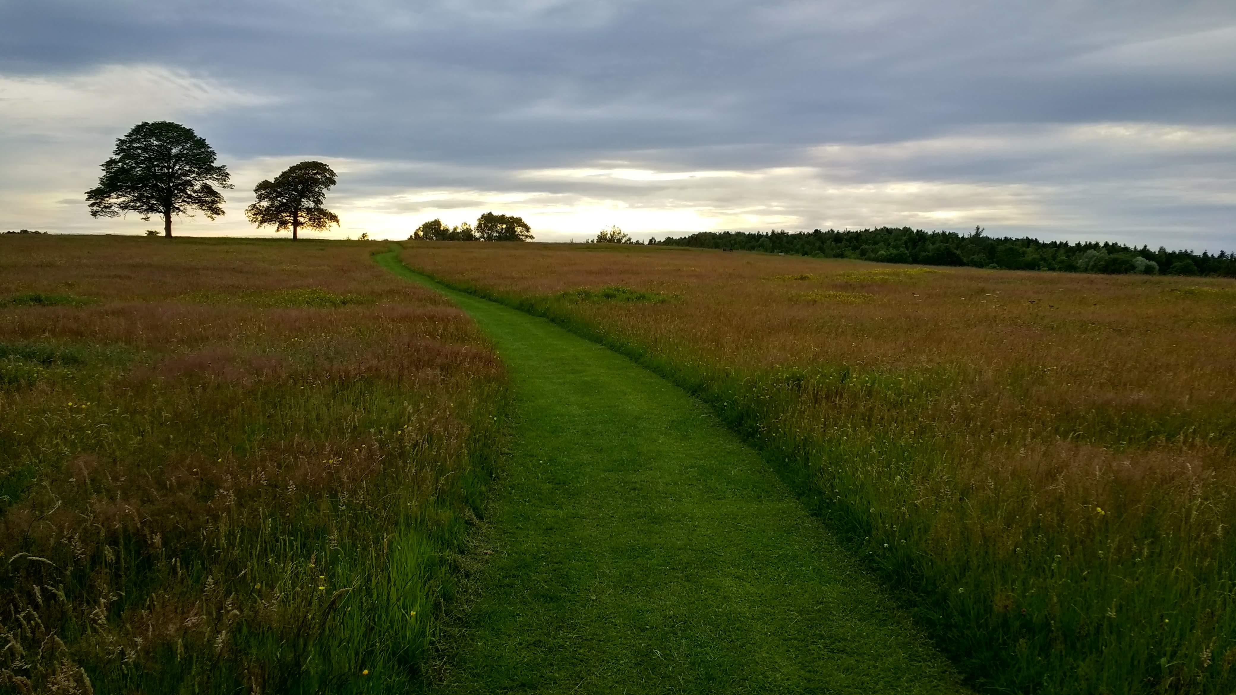 Shipley Hall Circular